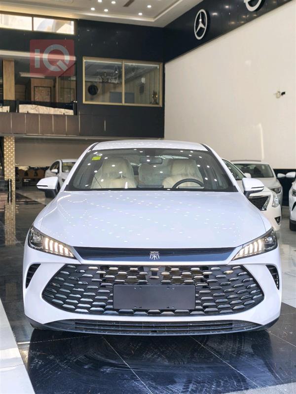 بي واي دي Qin Plus 2025 للبيع في العراق - دهوك